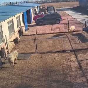 이런 쉽새끼 게임 X같이하네