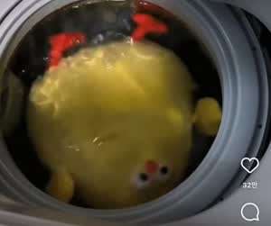 세탁기 속 인형