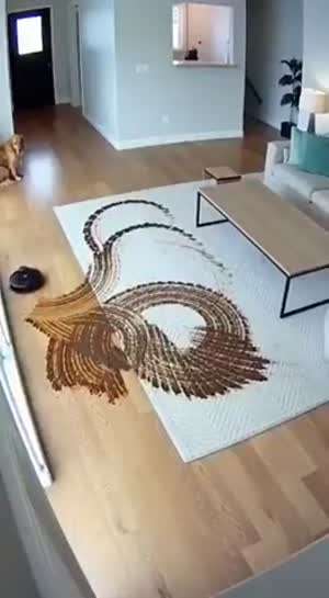 퇴근후 돌아와 마주친 독수리 그림.mp4