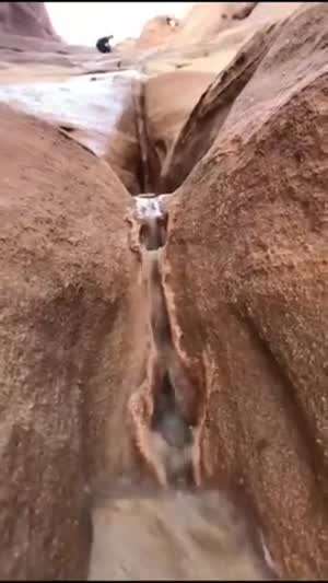 음란마귀 테스트귀2