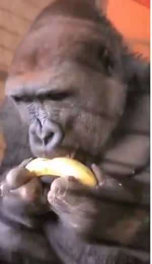 전문가가 알려주는 바나나 먹는법