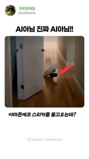 진짜 AI 아니라는 영상.mp4