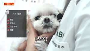 소리] 항문 킬러라는 이준.mp4