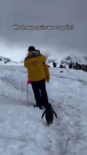 아 진짜 남극 길한복판에서 남사스럽게 뭐한다냐.