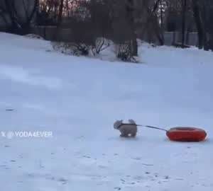 이건 절대 끊을수 없는...