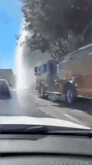 공짜 세차는 못참지