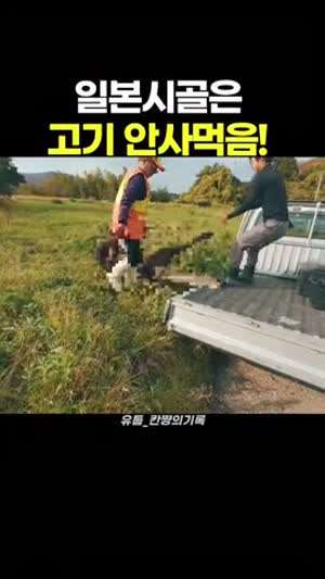 일본 시골에서 먹는 사슴고기.gif