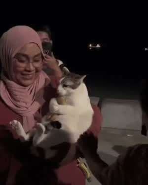 장난감 뺏긴 고앵이