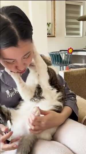 극한직업 고양이 집사