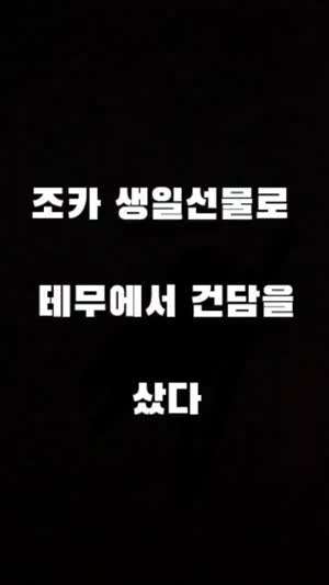 조카 생일 선물로 테무에서 건담을 샀다