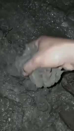 말벌집 입구막기