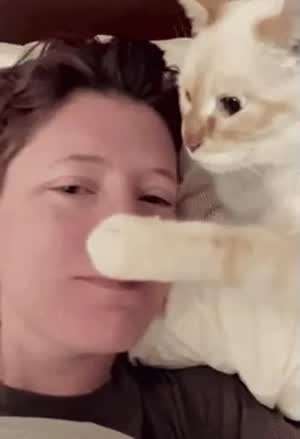 집사야 나 좀 봐.