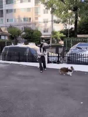 강아지와 놀아주는 아줌마.gif