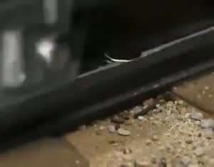 기차 선로에 뭘 올려놓으면 안되는 이유