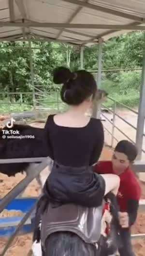 타조 탑승 체험.gif