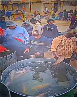 주의력 부족으로 무심결에 저지르는 실수