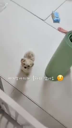 허탈해서 웃음뿐^^;