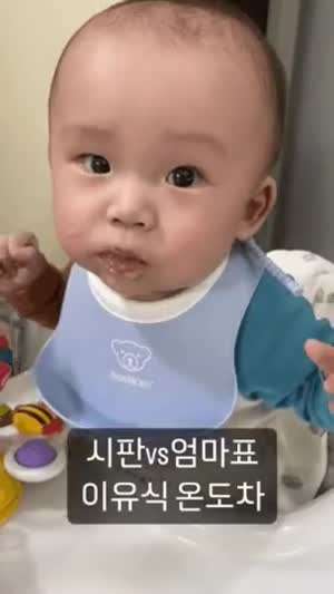 이유식 엄마표 vs 시판 온도차