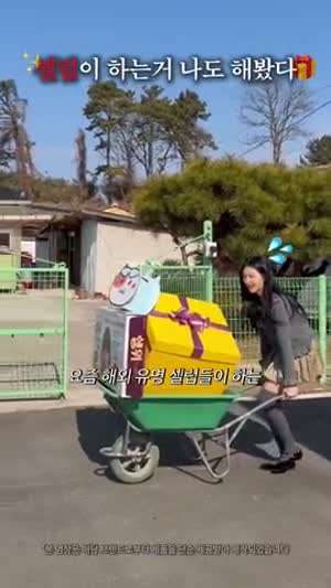 시골집 간김에 요즘 해외 유명 셀럽이 하는 시딩깡 나도 해봤다