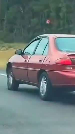 낙천적이 운전자의 차모음