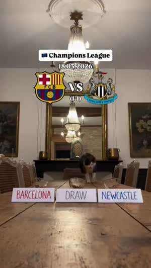 내일 새벽 챔스 승부예측에 참고할만한 자료