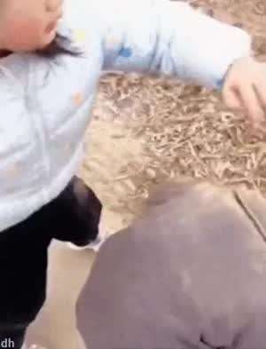 이리와봐 누나가 털어줄게