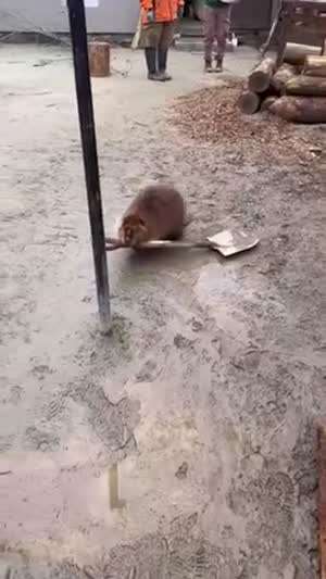 금방 쓰고 반납할게요~