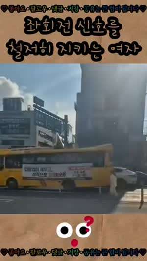 좌회전 신호를 철저히 지키는 여자