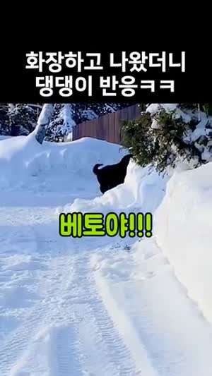 ...저 사람이 주인?? 이상한데..?? 누구야!! 맞잖아ㅎㅎ 잠깐...