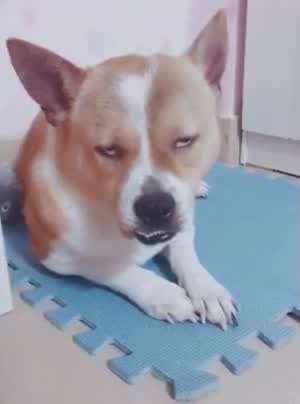 여자친구인 척 해주겠다는 후배