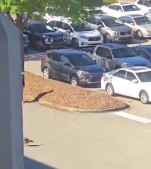 간식 사오는 길에 삥 뜯는 애들 만난 사연