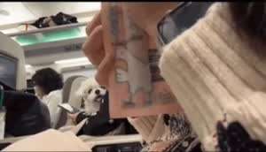 기차 옆자리 부담스러운 시선.gif