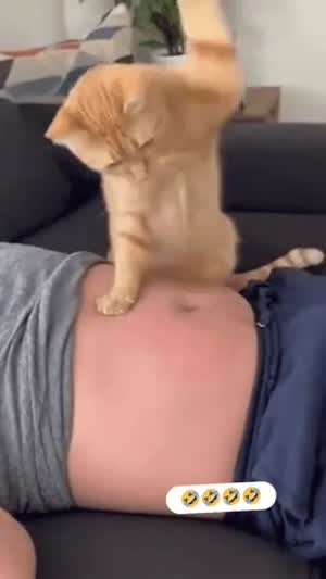 화가 잔뜩 난 고양이의 꾹꾹이.