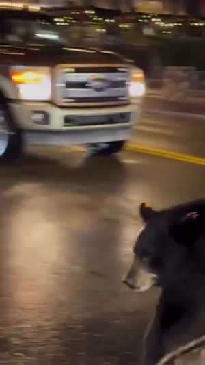 그냥 엉덩이 한번 만져보고 싶었던 아재.mp4