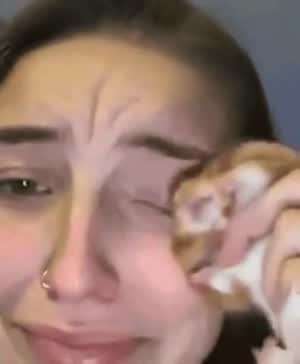 햄스터의 천국면접.manhwa