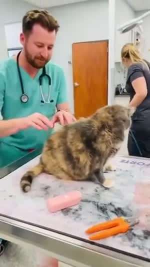 전문가의 손길.mp4