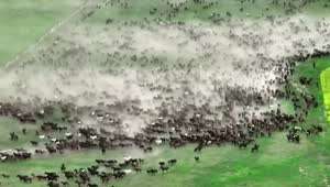 1만 기병대 체감하기