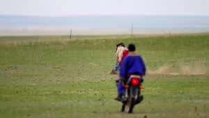 말 길들이는중?