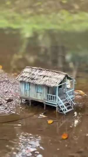 님도 조금 전 속았었지요?