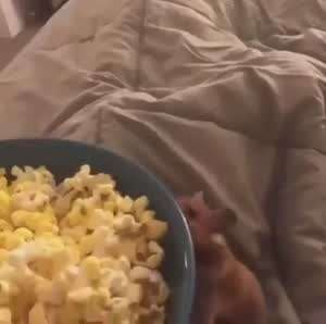 먹고 살기 겁나 힘드네