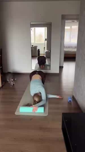 시방 머하는거냥?