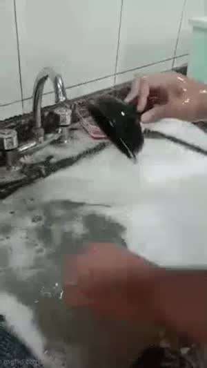 인생이 고달픈 순간....