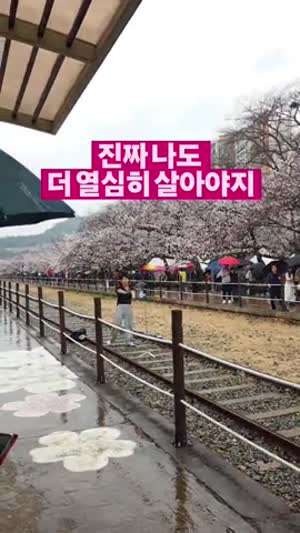 진짜 나도 열심히 살아야지