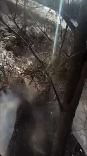 눈길에서 미끄러진 여자의 9개월 뒤 상황