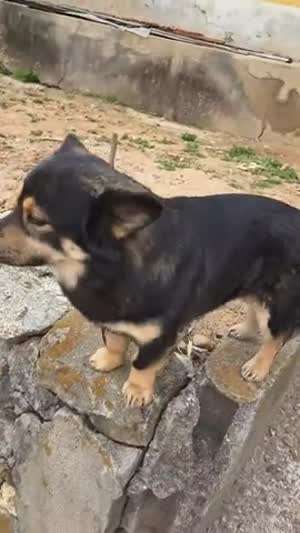 헤헤헤 또 여기와서 인사 하게여? 가만 있어봐유 그럼