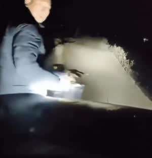 털끝 하나 안 건드리고 혼쭐내기