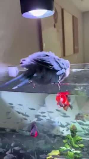 배는 고프고.. 미치겐네