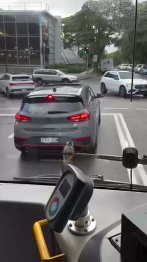 어디 나 잡아봐라~~