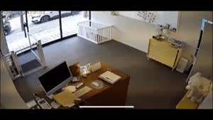 애견 미용실 강아지 실종 사건.gif