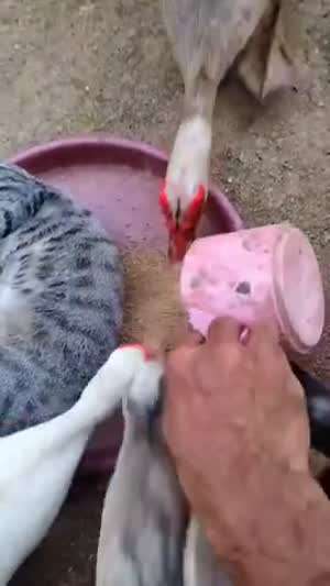 자리를 잘보고 누웠어야지